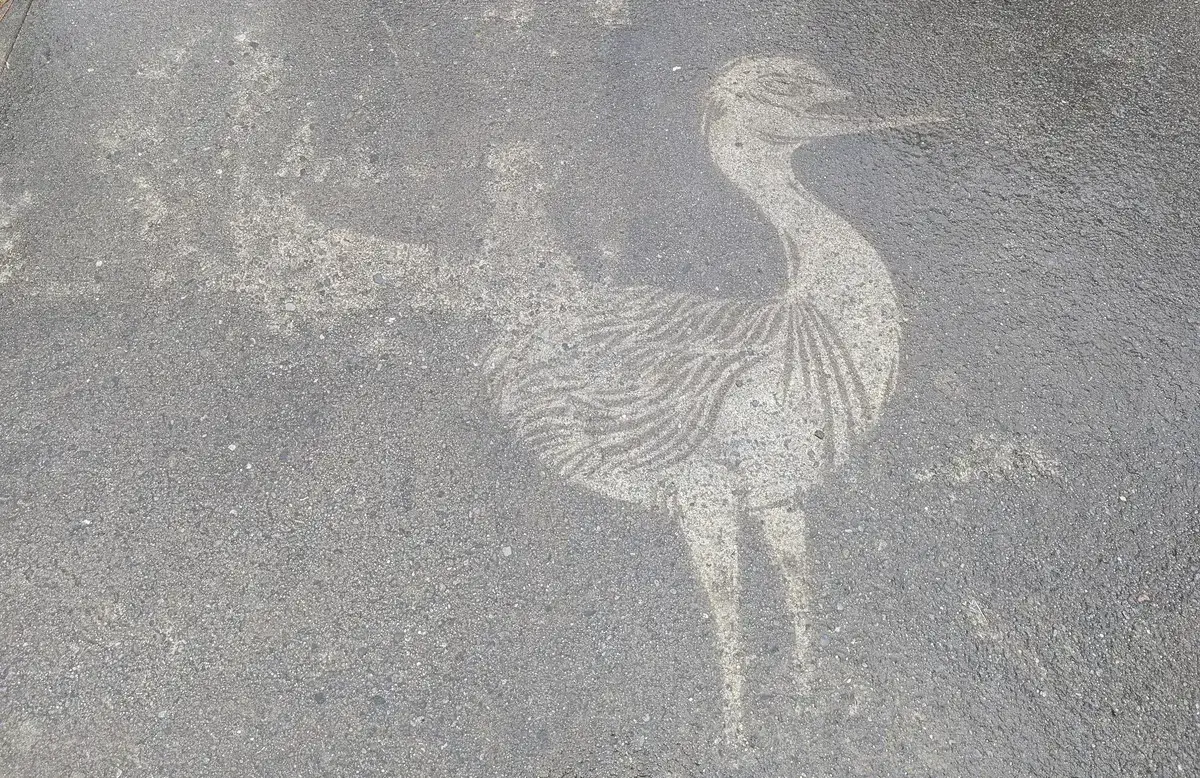 stencilled bird image imprinted into the concrete footpath surface