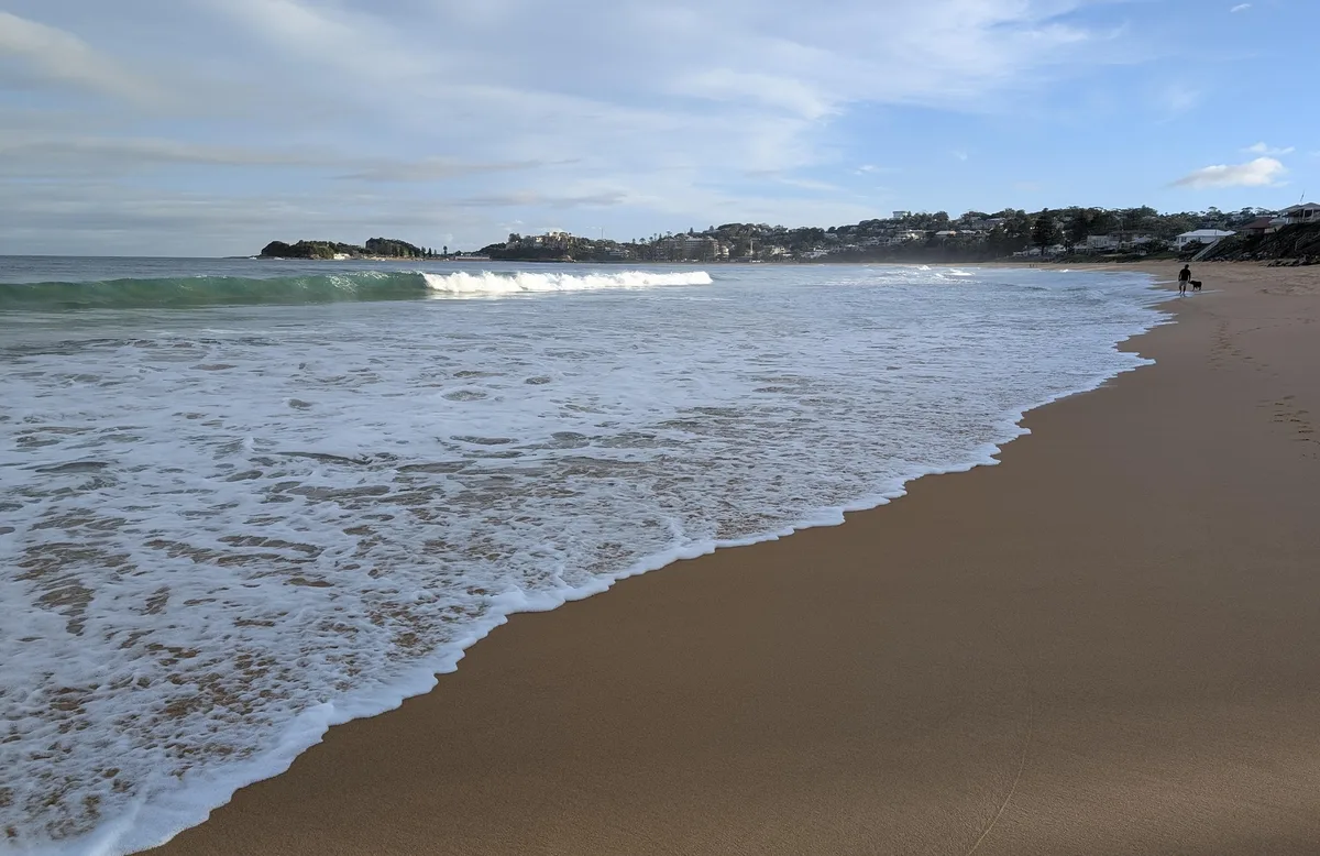 Walker and dog following the shoreline toward the Terrigal headland