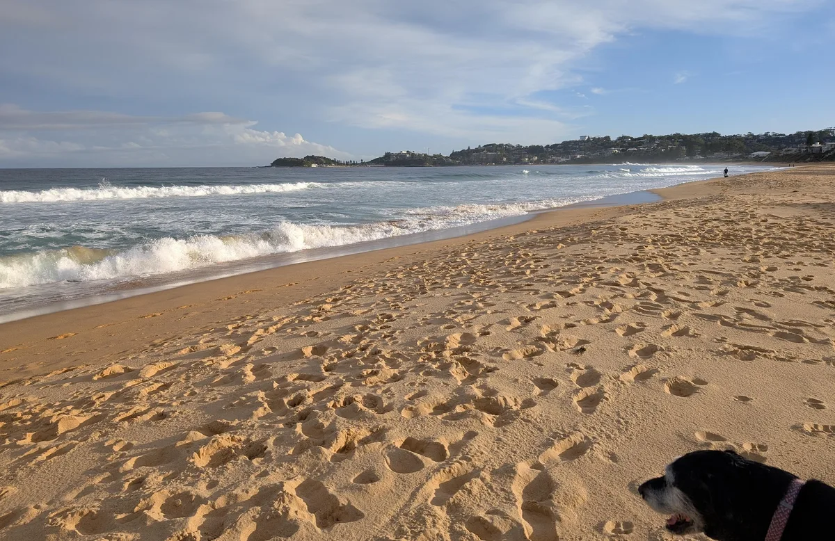 Sandy footprints crisscrossing the beach toward a distant headland