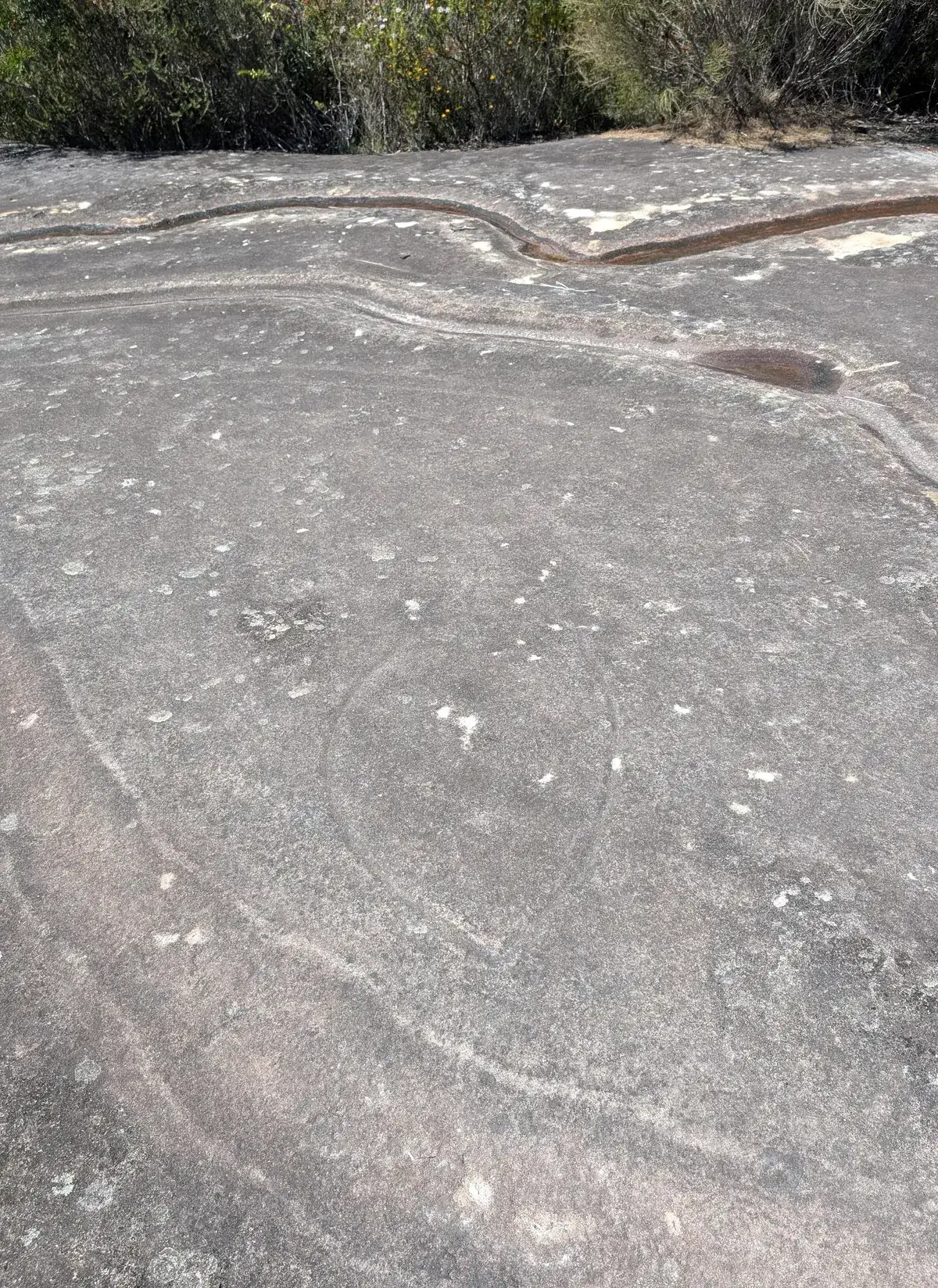 Sandstone rock platform with weathered cracks and rust coloured mineral bands near Warra Trig