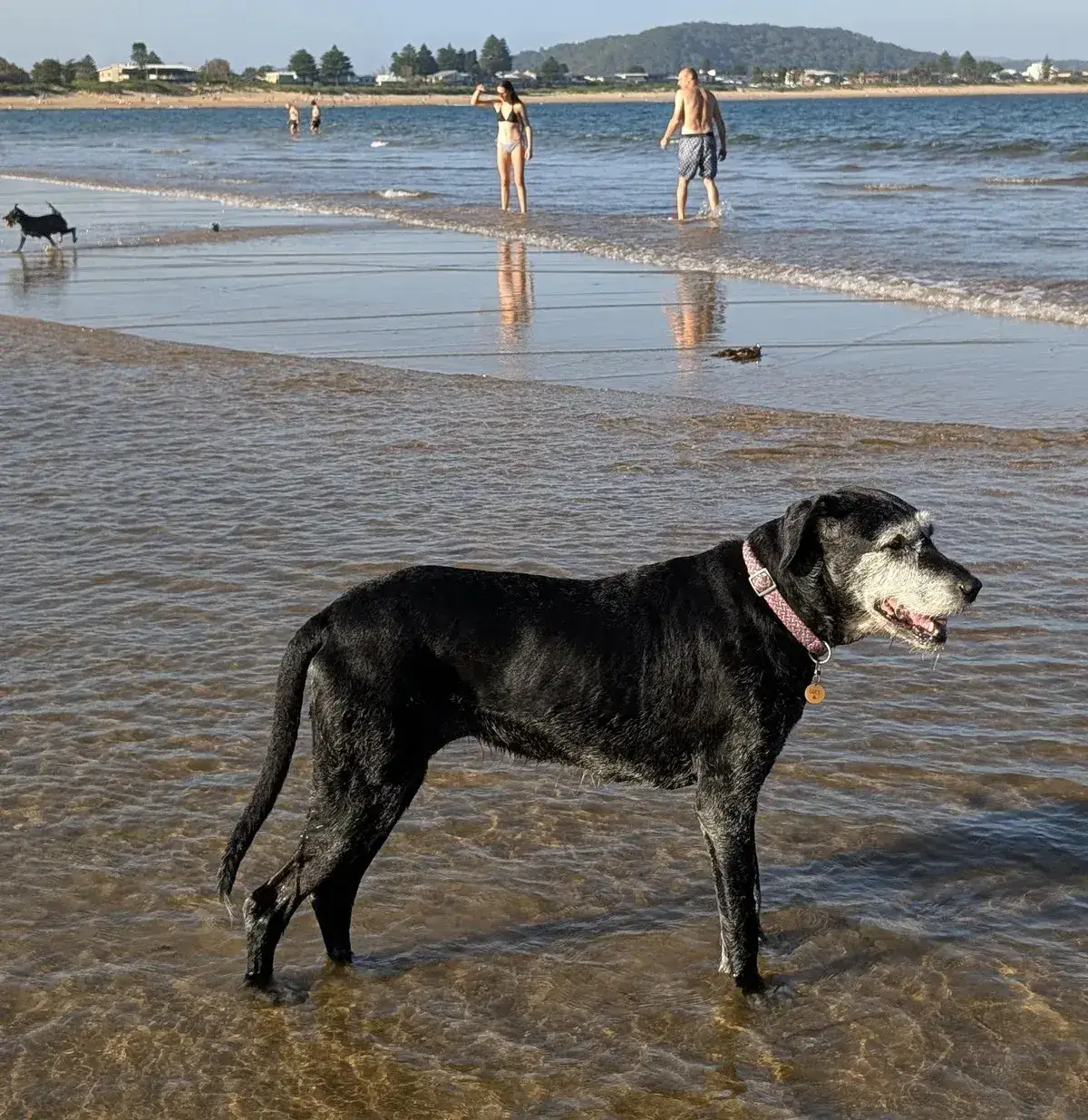 What to do when you have moved to the central coast