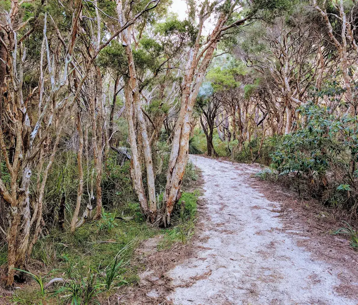 What to do when you have moved to the central coast