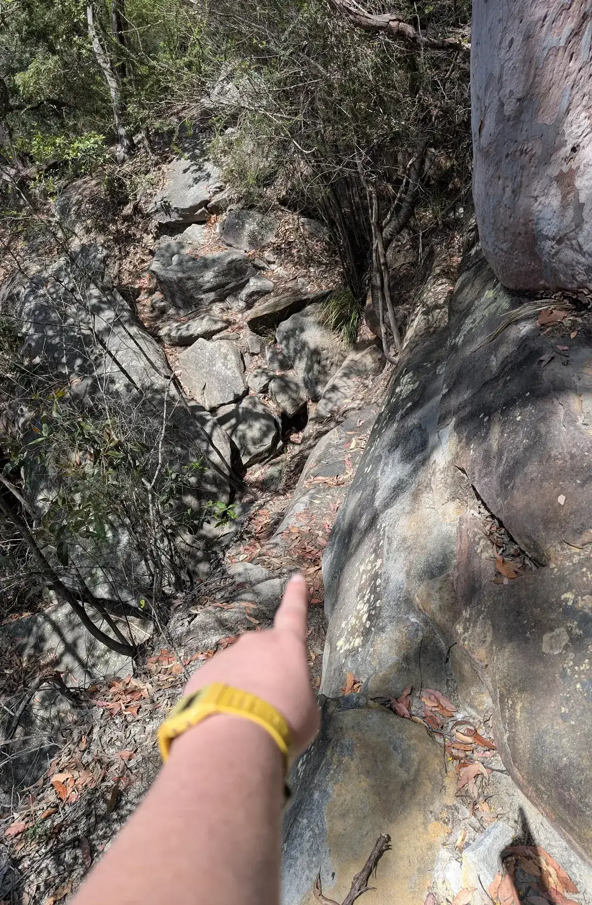 Hand pointing directions to Woy Woy Falls