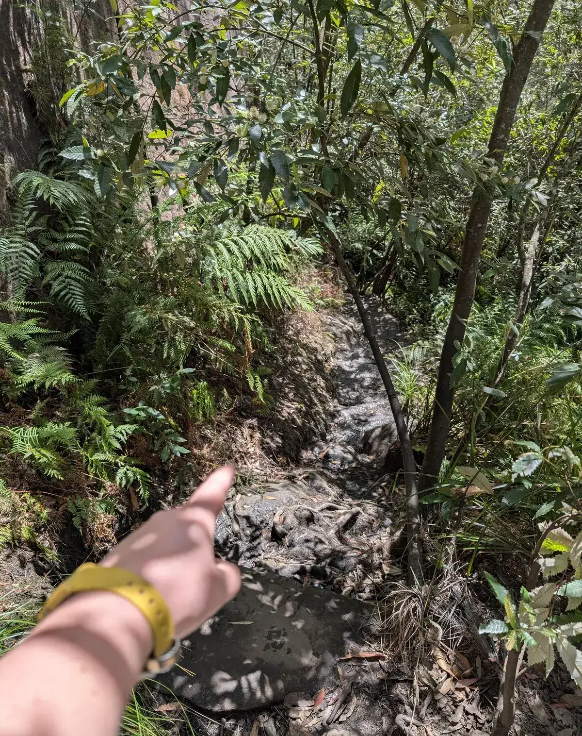 Hand pointing directions to Woy Woy Falls