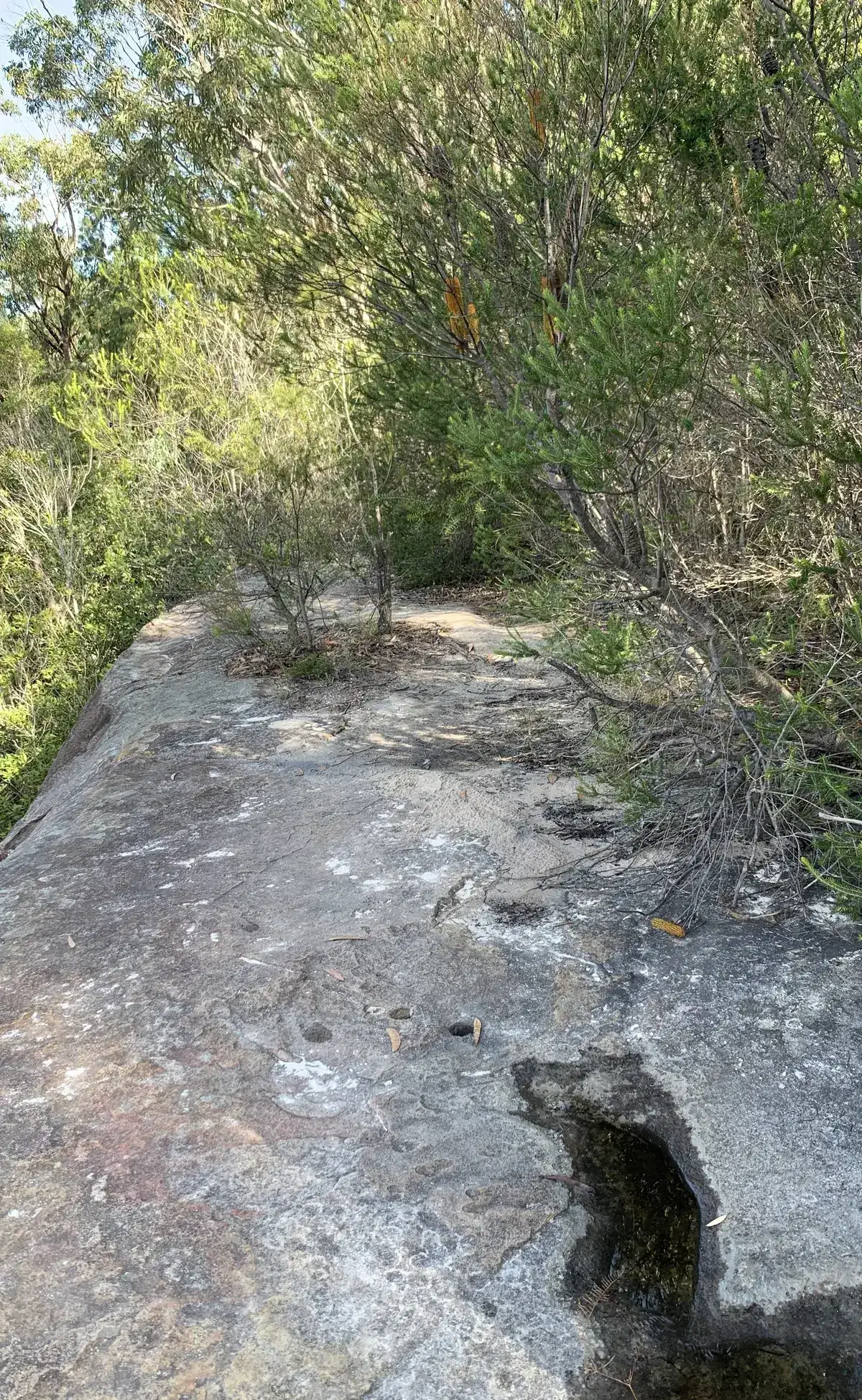 Hand pointing directions to Woy Woy Falls