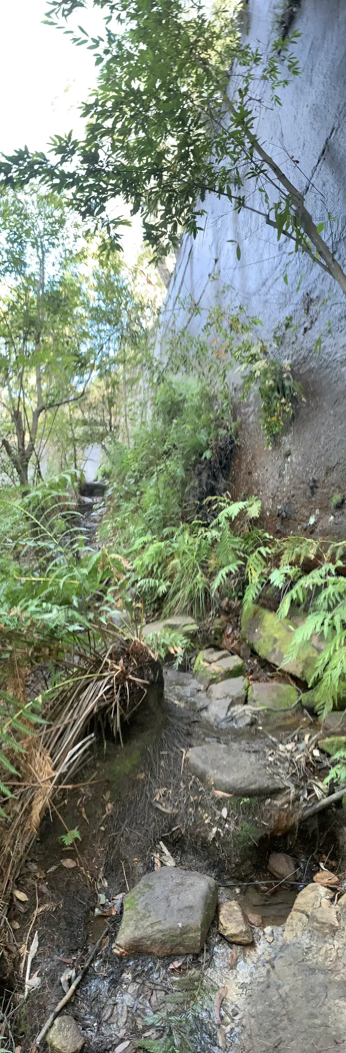 Hand pointing directions to Woy Woy Falls