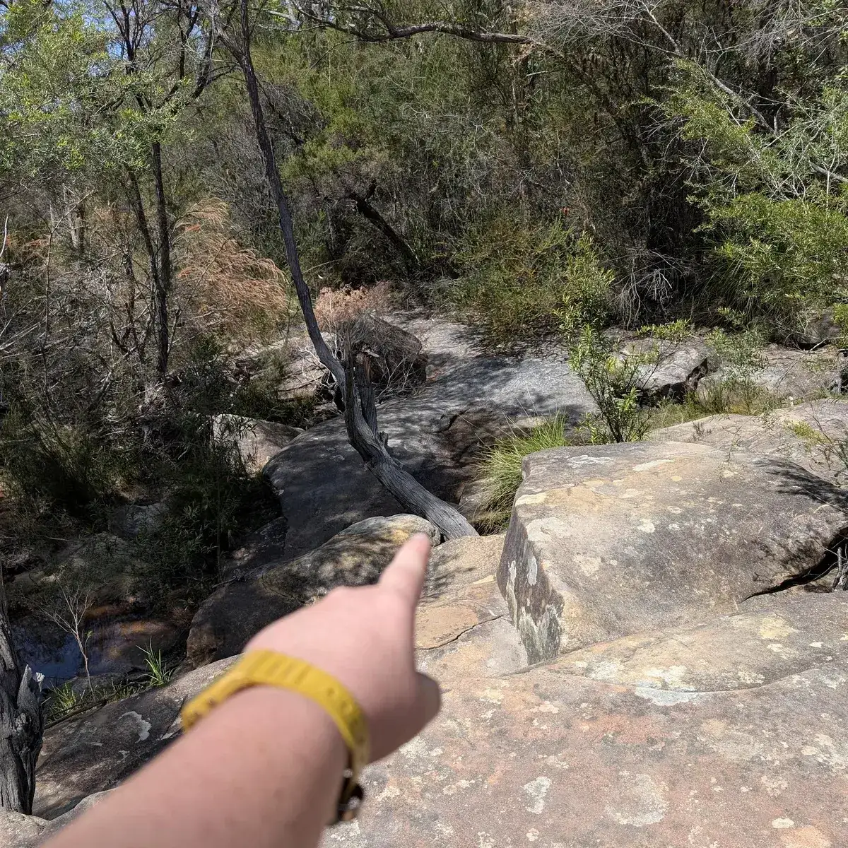 Hand pointing directions to Woy Woy Falls