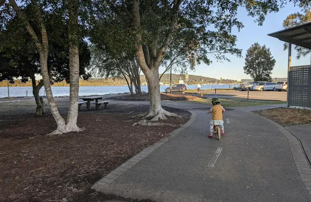 Woy Woy - Lions Park to Blackwall Mountain (3.6km one way 7.2km return) photo 10