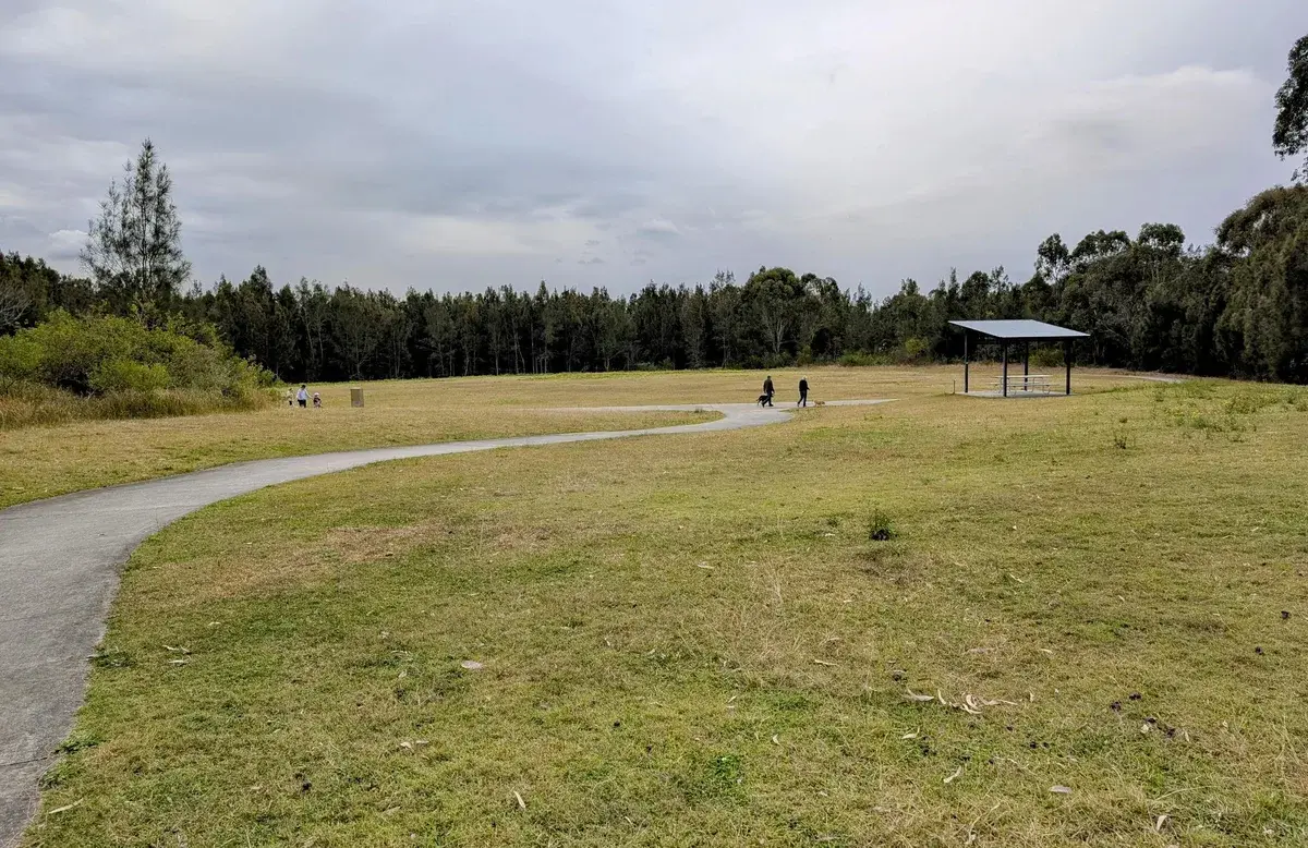 Wyee point the best place for kangaroos