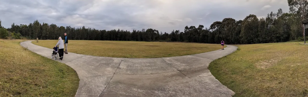 Wyee point the best place for kangaroos