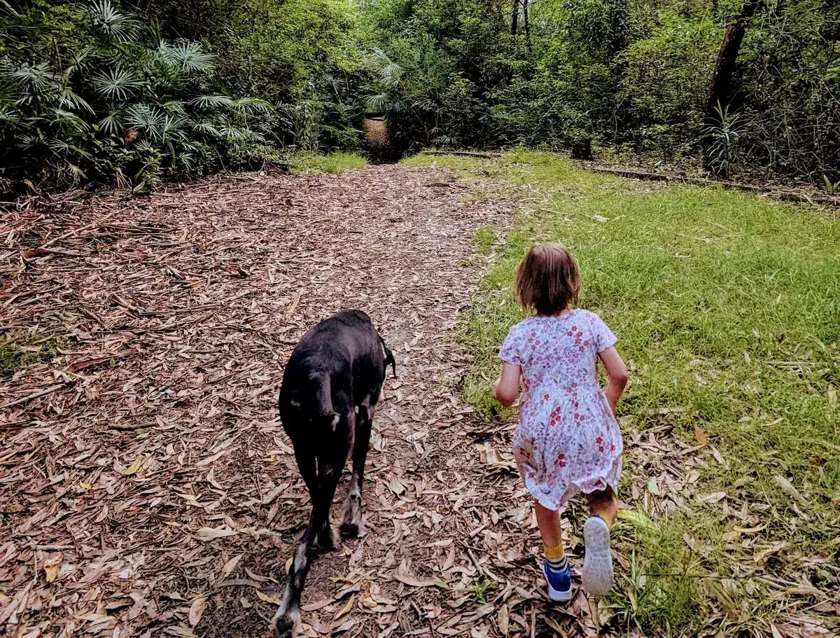 Wyoming reserve dog walk