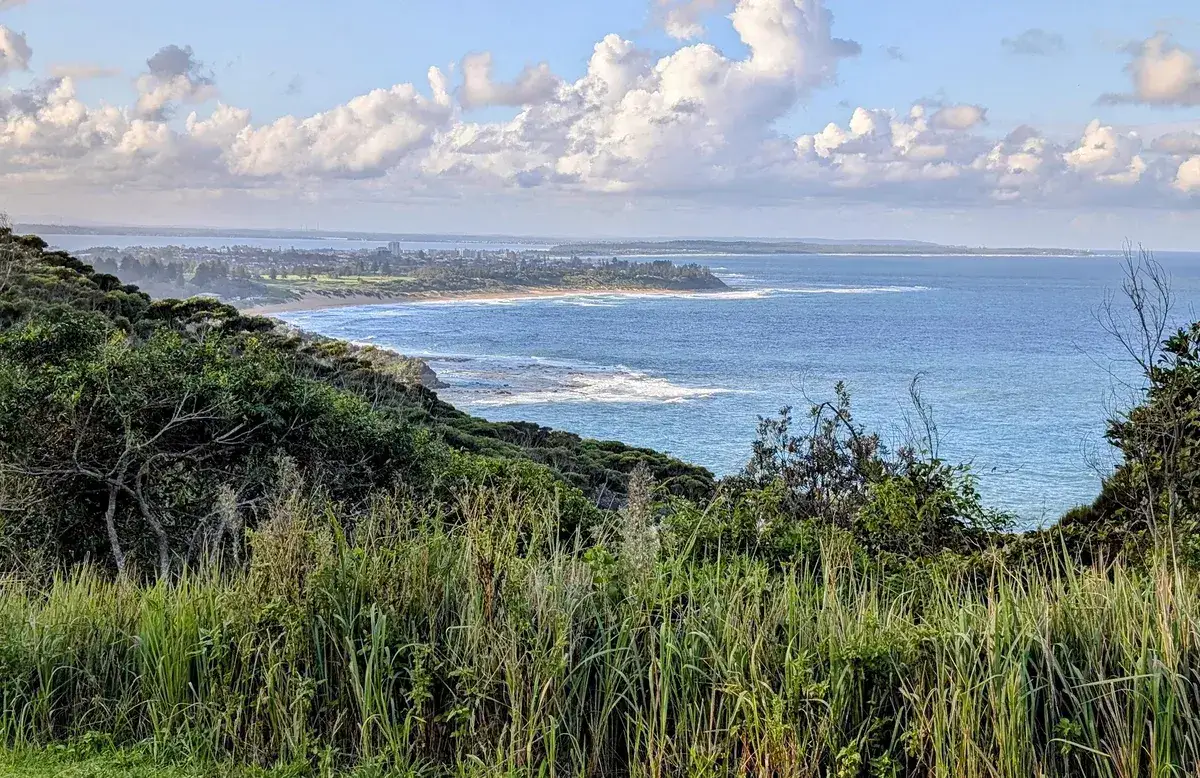 Coastline curving south from Wyrrabalong Lookout toward the township